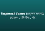 Tatpurush Samas (तत्पुरूष समास), उदाहरण , परिभीषा , भेद